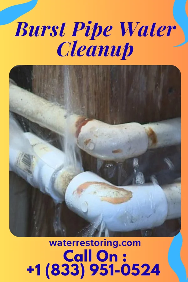 Burst Pipe Water Cleanup in Surprise, NE