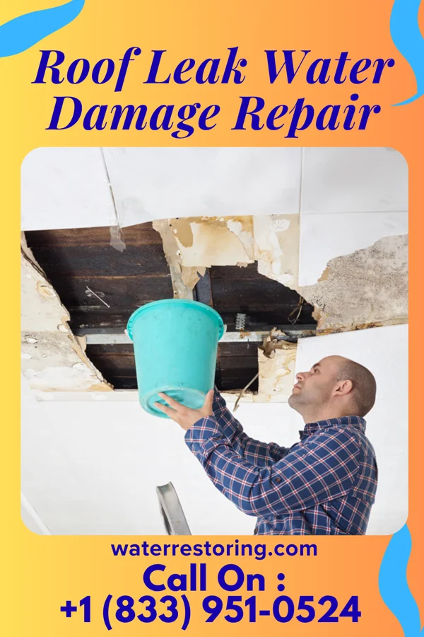 Roof Leak Water Damage Repair in Surprise, NE