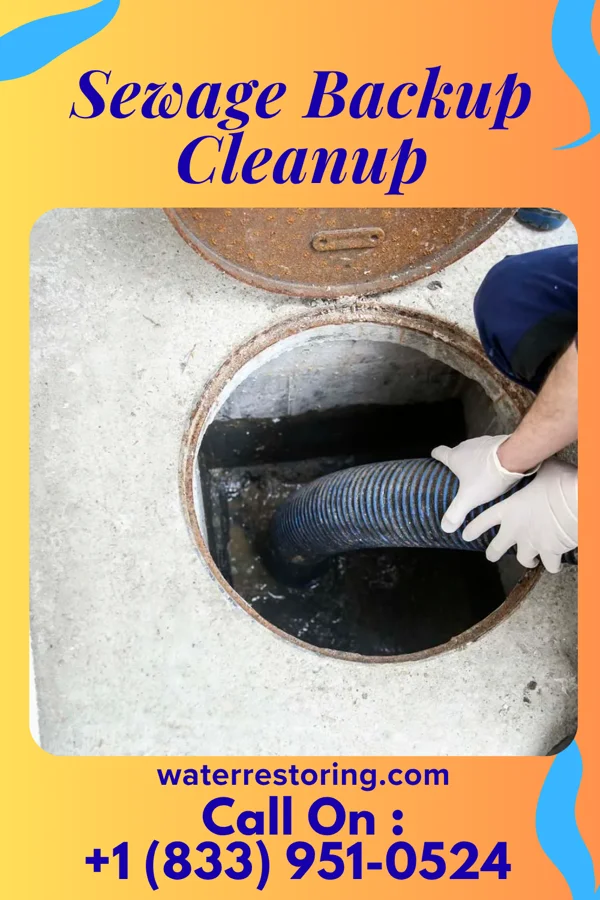 Sewage Backup Cleanup in Surprise, NE